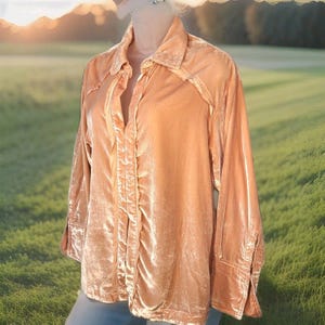 Top de manga larga estilo western relajado color melocotón de terciopelo aplastado de Free People imagen 1
