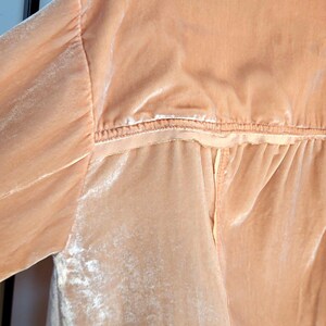 Top de manga larga estilo western relajado color melocotón de terciopelo aplastado de Free People imagen 5