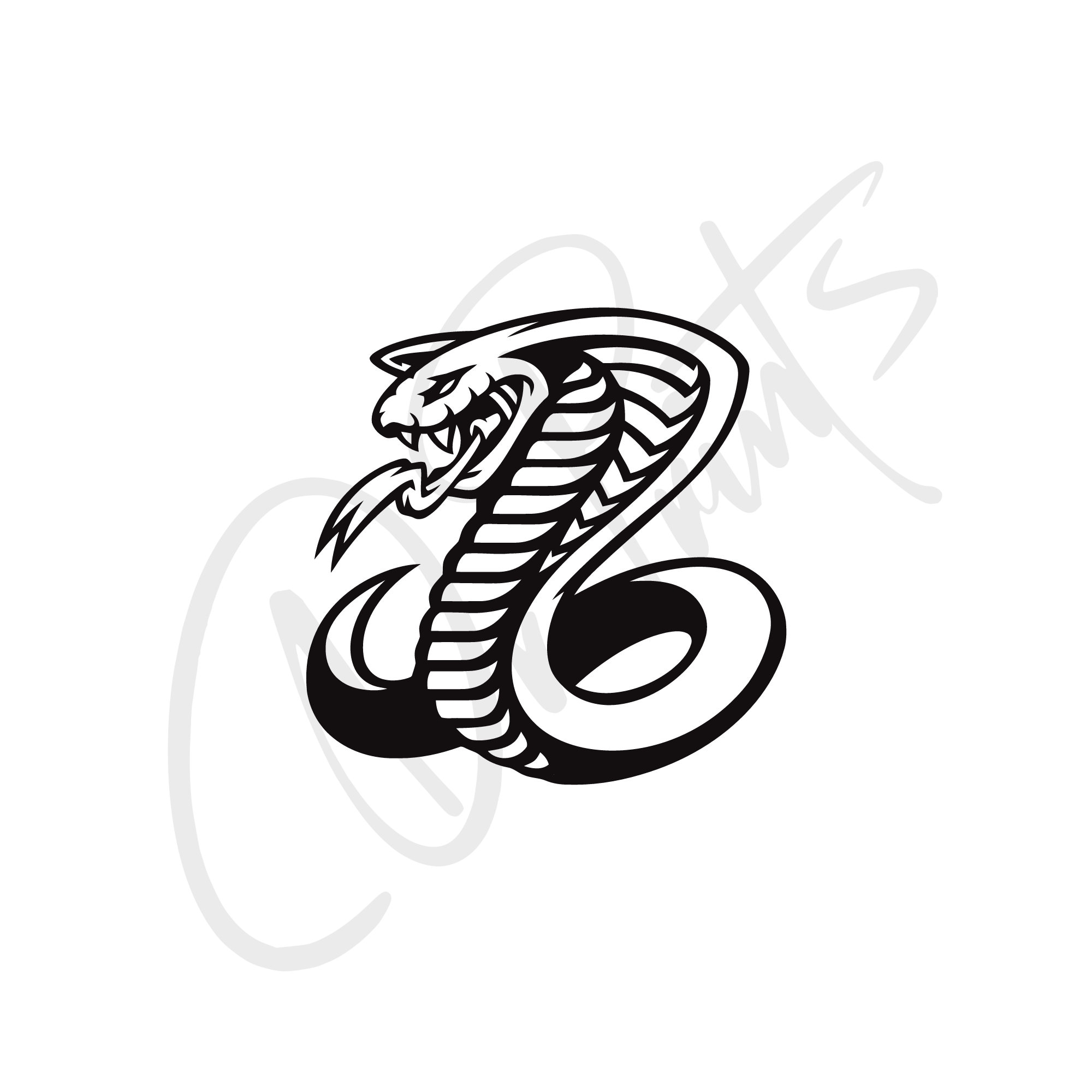 Tampons de protection STREETLINE GSG MOTO Street Triple 765 2017-2019 - PAM RACING Tampons de protection STREETLINE GSG MOTO Street Triple 765 2017-2019 - PAM RACING