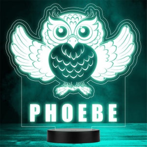 Niedliche Eule Spread Wings Vogel Tier LED Personalisiertes Geschenk Nachtlicht