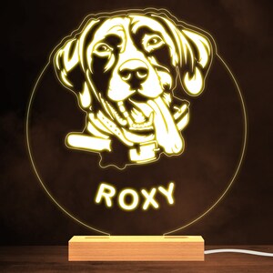 Op de afbeelding: Een geel verlicht nachtlampje met het gezicht van een hond en de naam "ROXY" eronder. Het lampje staat op een houten voet.