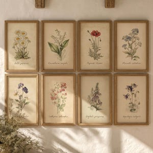 Conjunto de 8 láminas botánicas vintage / Galería de pared estilo cottagecore, arte floral, decoración rústica de granja, arte de herbario antiguo, decoración de cocina