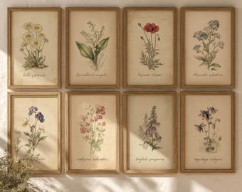 Vintage Botanical Prints Set | Wildflower Gallery Wall (Digital Download)