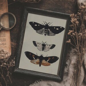 Nachtvlinderkaart | Dark Academia print, humeurig insect afdrukbaar, donkere Cottagecore muurkunst, vintage rustieke esthetische poster, decor gotisch huis