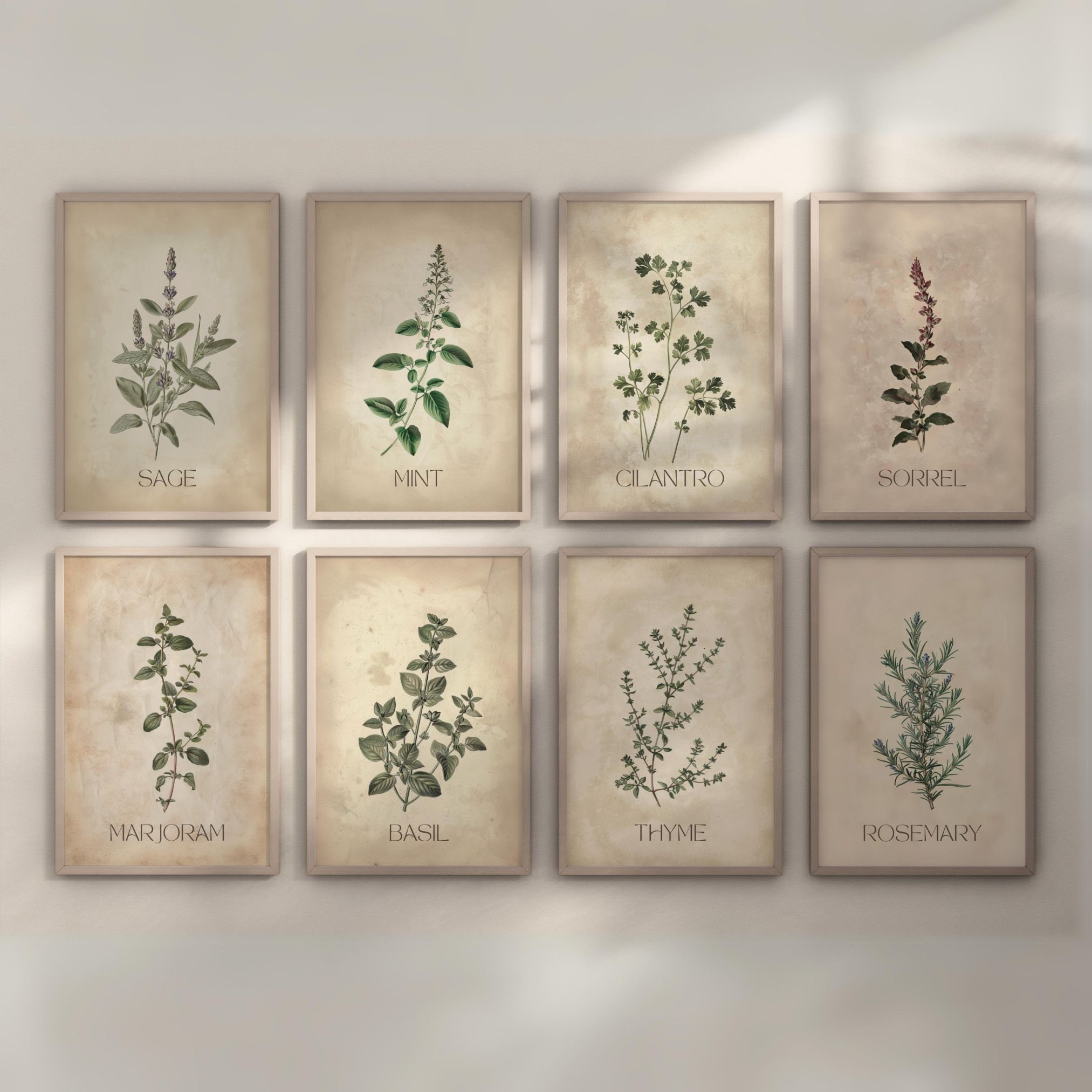 Set of 8 Herb Prints | Kitchen Gallery Wall Set, Vintage