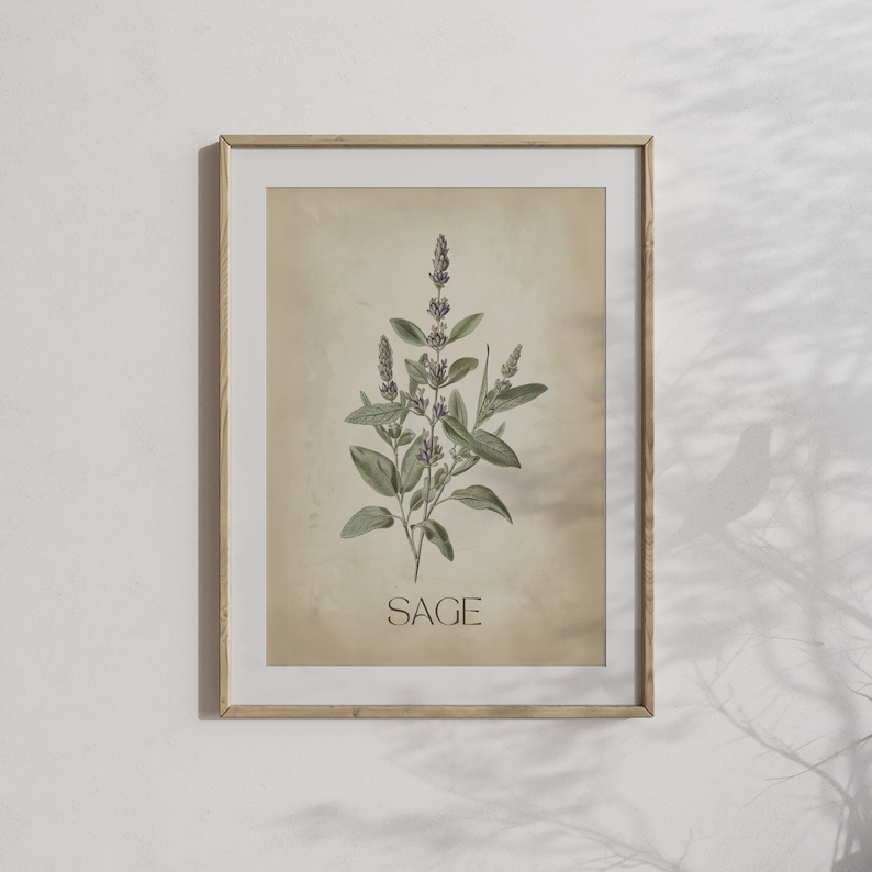 Set of 8 Herb Prints | Kitchen Gallery Wall Set, Vintage Botanical ...