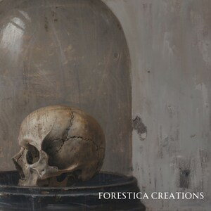May include: A human skull sits on a black pedestal under a glass dome. The skull is a light brown color with visible bone structure. The background is a light gray with a textured surface. The text "FORESTICA CREATIONS" is visible at the bottom of the image.