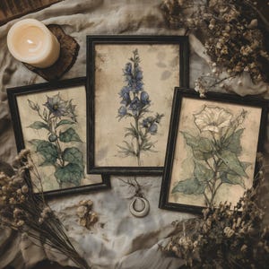 3er Set Hexenherbar | Vintage Apotheker Wand-Set, Gothic Cottagecore Dekor, antike dunkle botanische Drucke, Dark Academia Kunst