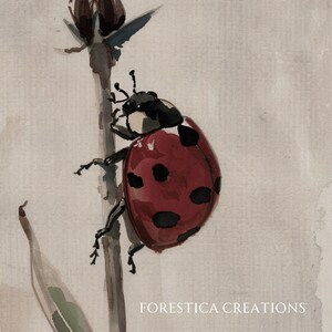 Ladybug | Moody Insect Printable, Cottagecore Wall Art, Watercolor ...