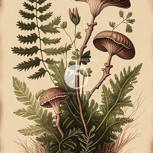 May include: A vintage botanical illustration featuring three mushrooms with brown caps and stems surrounded by green ferns and leaves on a cream background.
