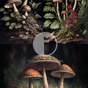 Set of 3 Mushroom Prints | Dark Cottagecore, Mushroom Decor, Dark ...