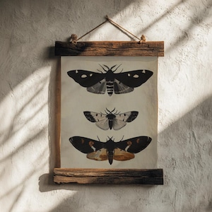 Cuadro de polillas / Impresión de Dark Academia, Impresión de insectos melancólicos, Arte de pared Dark Cottagecore, Póster de estética rústica vintage, Decoración gótica para el hogar