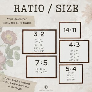 May include: A graphic showing five different aspect ratios for digital downloads, with the text "RATIO / SIZE" at the top. The ratios are 3:2, 7:5, 4:3, 5:4, and 14:11. Each ratio is displayed with a list of common print sizes in inches.