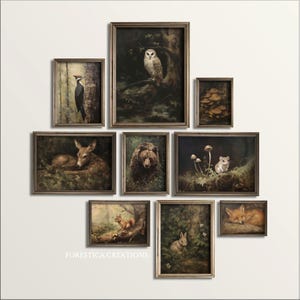 9er Set Walddrucke | Cottagecore Galeriewand-Set, Pilz-Dekor, Waldkindergarten-Set, Vintage-Tierwandkunst, Ölgemälde Ästhetik