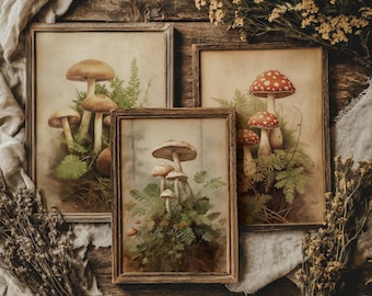 Set of 3 Botanical Mushroom Prints | Cottagecore Wall Art, Green Witch Decor, Vintage Oil Painting Aesthetic, Forest Decor, Triptych Art