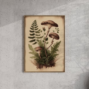 May include: A vintage botanical illustration featuring three brown mushrooms with white gills growing amongst green ferns on a beige background.