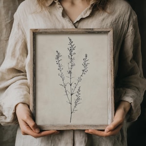 Wiesenblume | Cottagecore Drucke, Botanisches Dekor, Blumenwandkunst, Minimalistisches Poster, Vintage Ästhetik, Rustikales Kunstwerk, Antikes Dekor