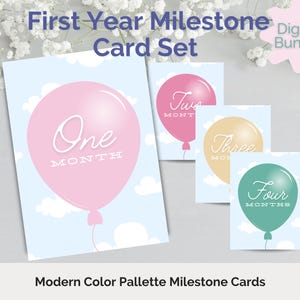 Jeu de cartes numériques mensuelles Milestone pour bébé fille - A5