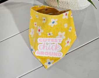 Yellow Floral "Cutest Chick Around" Easter Pet Bandana
