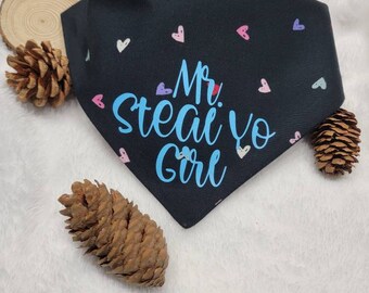 Valentine's Day Pet Bandana-Mr Steal Yo Girl-Gift for Dog or Cat-Snap On-Hearts-Love-Scarf-Neckwear-Vday-Pet Lover-Gift Mom-Gift Dad-Hearts