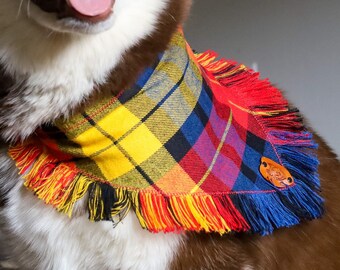 SuperDog Bandana