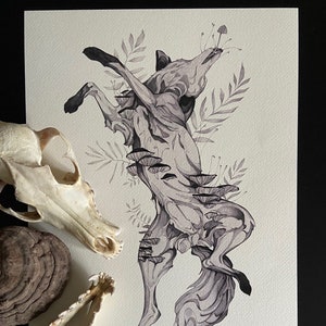 Volpe - stampa su carta - funghi - felci - natura morta - acquerello e penna - disegno a mano -