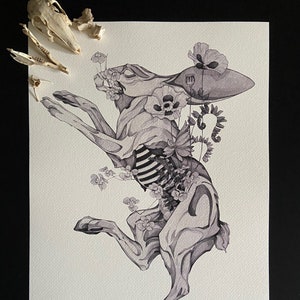 Lepre - stampa su carta - papaveri - felci - natura morta - acquerello e penna - disegno a mano -
