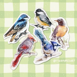 Pack d'autocollants aquarelle oiseaux avec faits sur les oiseaux | 5 oiseaux d'Amérique du Nord | Grands autocollants de 3 po. + illustrés à la main