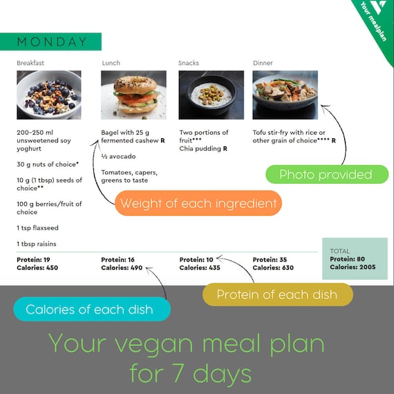 Vegan Meal Plan 1500 kcal 65 g Protein - Etsy Schweiz