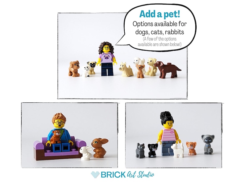 Pet options available include dogs, cats, rabbits, hamsters