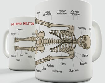 The Human Skeleton Educational Gift Mug
