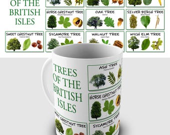 British Trees Educational Gift Mug - Make your walks more interesting