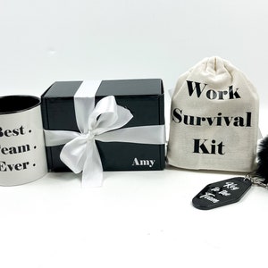 Personalized Employee Appreciation Gift Box |Welcome to the Team Gift |Coworker Gift |New Hire Gift| Thank You Team | Work Survival Gift Box
