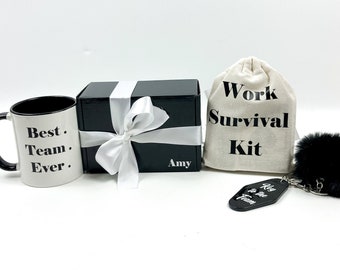 Personalized Employee Appreciation Gift Box |Welcome to the Team Gift |Coworker Gift |New Hire Gift| Thank You Team | Work Survival Gift Box