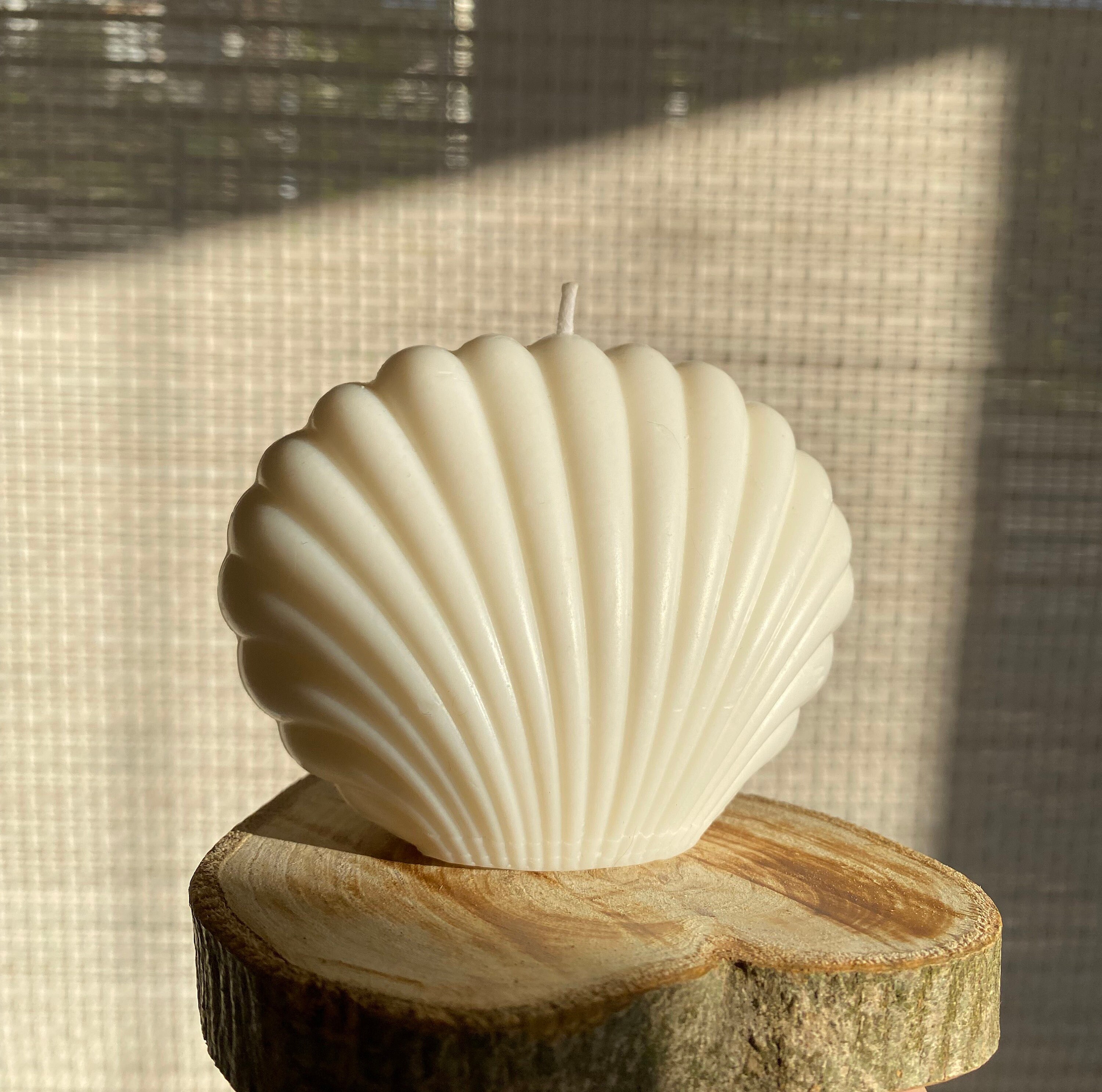 Big Shell Candle Soy Wax Handmade Scented Vegan Natural Organic ...