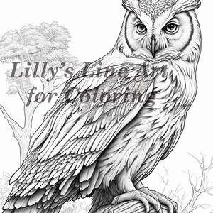 Decorative Owl on a Flowering Branch Coloring Book for Adults. Hand Drawn  Decorative Owl for the Anti Stress Coloring Page Stock Vector -  Illustration of abstract, drawn: 116211446