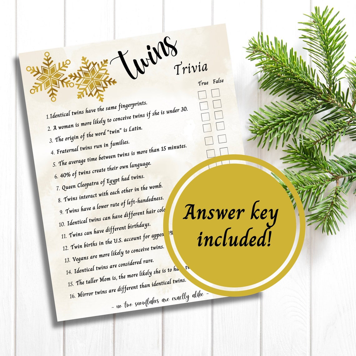 Twins Trivia Winter Baby Shower for Twins Twins Trivia Game - Etsy