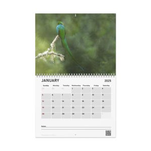 2025 Wall Calendar with high resolution images of Birds and Mammals in their natural habitat. Each month page features a notes section.
