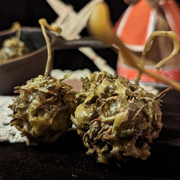Imbolc Ritual Loaded Witches' Burr Spell Balls