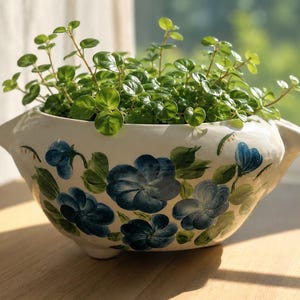 May include: A white ceramic planter with a floral design, filled with a vibrant green plant. The planter features blue flowers and green leaves painted on its surface. The plant has small, round leaves and is positioned near a window.