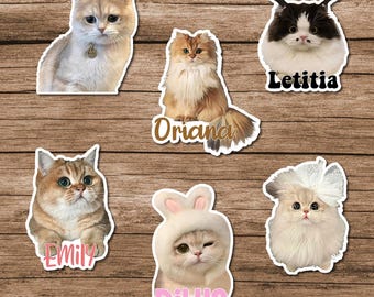 Custom Pet Photo Sticker: Waterproof Vinyl Decal for Laptop, Tumbler