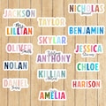 Waterproof Name Sticker, Personalized Vinyl Sticker, Name sticker, Custom sticker, Water Bottle Sticker, Colored Decal