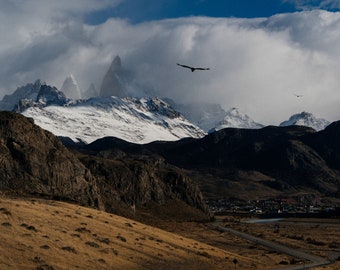 Photography poster Condors in Patagonia Nature Photo Print Gift Argentina Wall Decoration Traveler