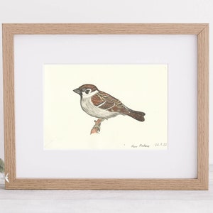 Printable art - Passer montanus - watercolor pencil