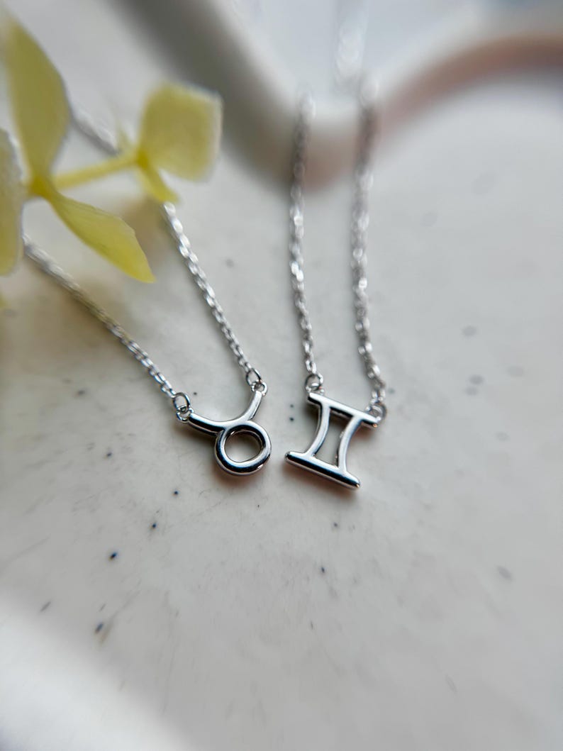 Sterling Silver 925 Zodiac Sign Necklace, Minimalist Astrology Pendant ...