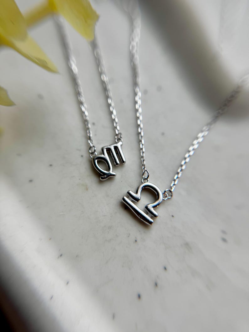 Sterling Silver 925 Zodiac Sign Necklace, Minimalist Astrology Pendant ...