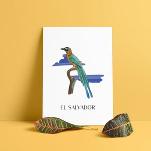 Turquoise-browed Motmot El Salvador - Birds of the World Minimalist Poster