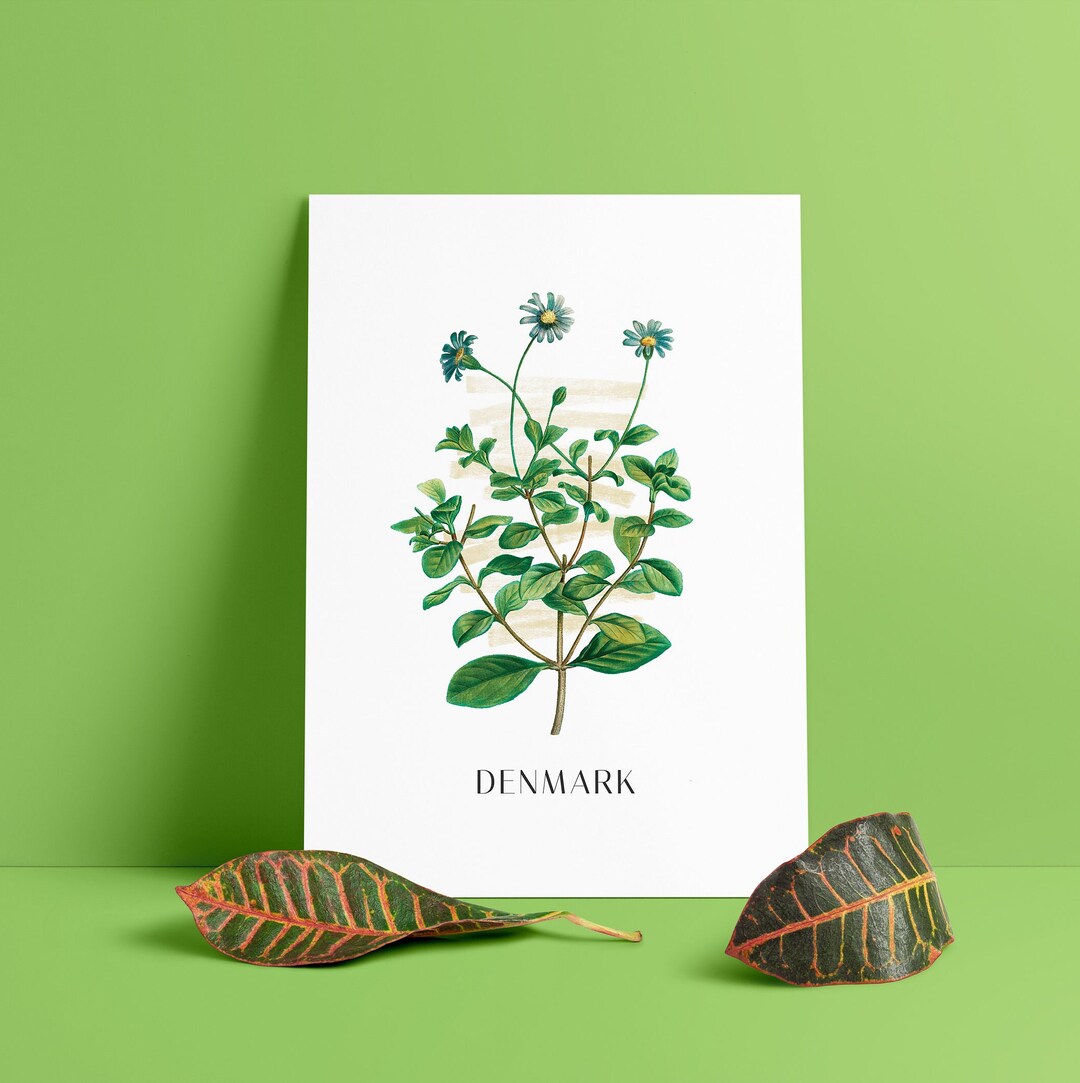 Printable Denmark Marguerite Daisy Flowers of the World Minimalist