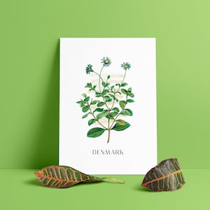 Printable Denmark Marguerite Daisy Flowers of the World Minimalist Poster