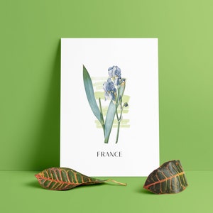 Printable France Iris Flowers of the World Minimalist Poster